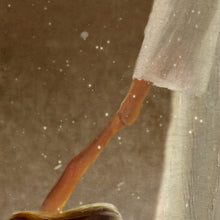 Load image into Gallery viewer, Hand Of God - Canvas