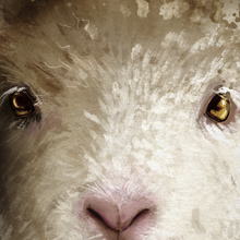 Load image into Gallery viewer, The Lion and Lamb - Canvas
