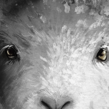 Load image into Gallery viewer, The Lion and Lamb - Canvas