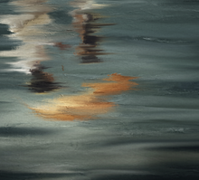 Load image into Gallery viewer, Shelter - Framed Print