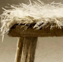 Load image into Gallery viewer, Nativity  - Canvas