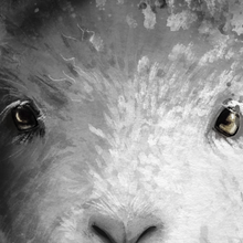 Load image into Gallery viewer, The Lion and Lamb - Canvas
