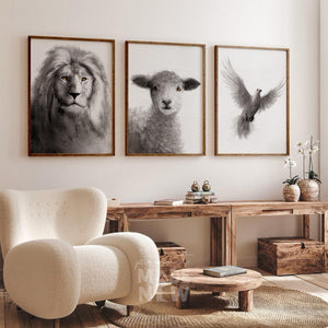 Set of 3 FRAMED PRINT (Lion+Lamb+Dove)